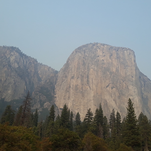 Meet your Posher, Dennys - Picture 7 of 9